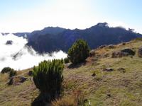 Wanderung von Achada do Teixeira zum Pico Ruivo 