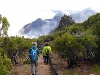 Wanderung von Achada do Teixeira zum Pico Ruivo 
