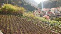 Wanderung von Marocos nach Machico