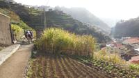 Wanderung von Marocos nach Machico