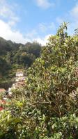 Wanderung von Marocos nach Machico
