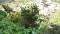 Wanderung von Marocos nach Machico