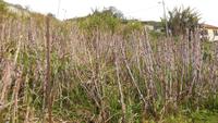 Wanderung von Marocos nach Machico