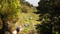 Wanderung von Marocos nach Machico
