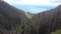 Wanderung zu den 25 Quellen im Tal von Rabacal Blick zum Meer