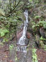 Wanderung zu den 25 Quellen im Tal von Rabacal