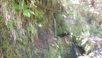 Wanderung zu den 25 Quellen