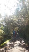 Wanderung zu den 25 Quellen
