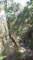 Wanderung zu den 25 Quellen