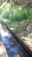 Wanderung zu den 25 Quellen