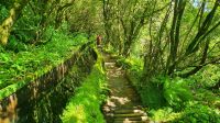 Wanderung zum Feuersee entlang der Levada