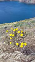 Wanderung zum Ostkap nach Ponta Sao Lourenco Madeira