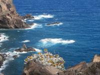 Wanderung zum Ostkap von Madeira nach Ponta Sao Lourenco