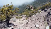Wanderung zum Pico do Ruivo