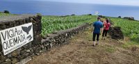 Wanderung zum Walausguck in Queimada auf Pico