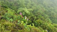 Wanderweg nach unten