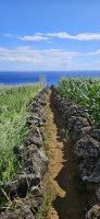 Weg zum Walausguck auf Pico