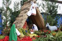 Weihnachtskrippe in Santana