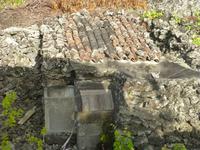 Weinanbau in Pico