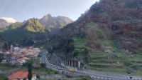 Weinberge Madeira, Portugal