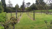 Weingut Jose Maria de Fonseca