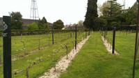 Weingut Jose Maria de Fonseca