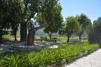 Weingut Pacheca