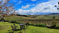 Weingut Quinta da Avessad