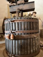 Weingut Quinta da Avessada  (2)