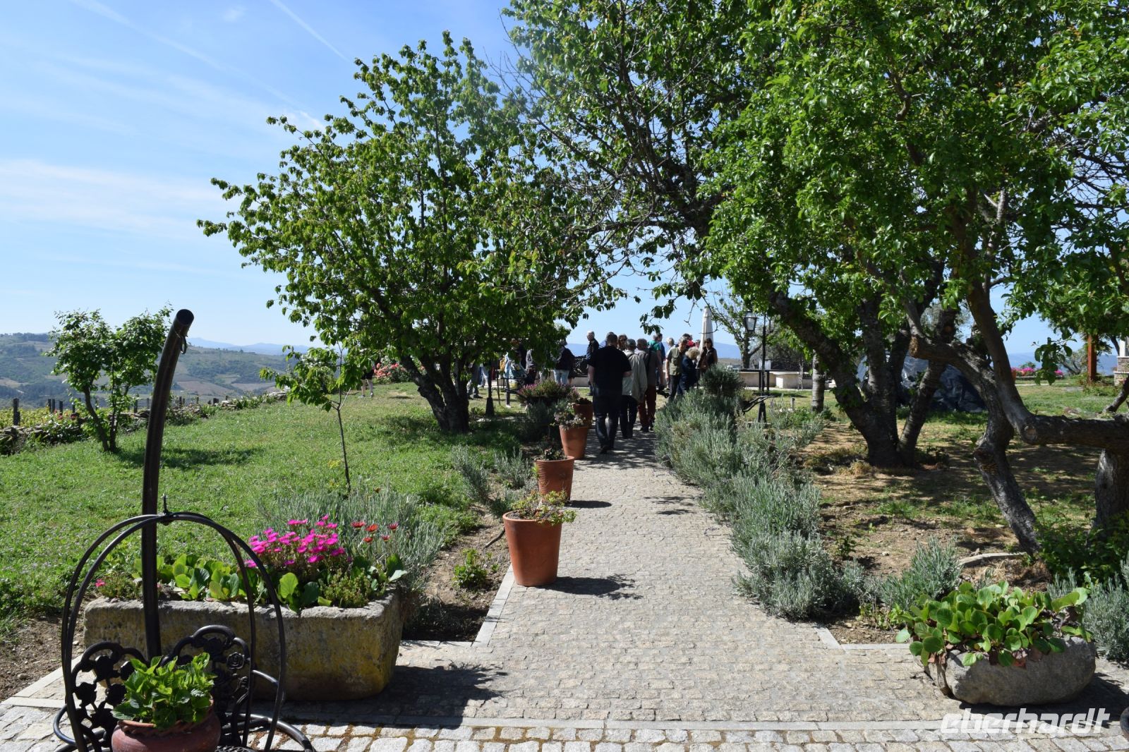 Weingut bei Aijol