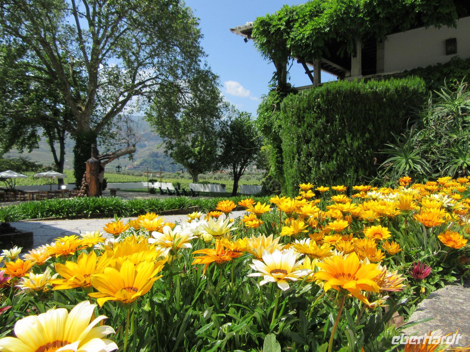 Weingut
