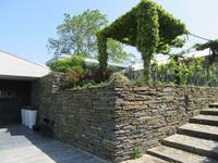 Weingut