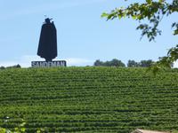 Weinkellerei