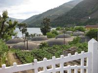 Weinlager in Pinhao