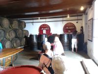 Weinmuseum Brum