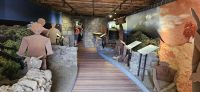 Weinmuseum auf Pico