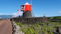 Windmühle im Weinanbaugebiet