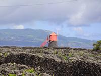 Windmühlen auf Pico