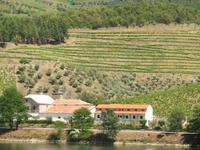 Zugfahrt von Peso da Régua nach Pinhão
