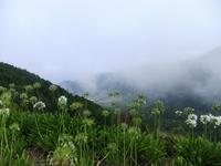 auf dem Encumeada Pass