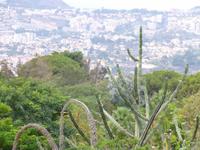 botanischer Garten