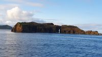 der liegende Felsen im Canal zwischen Faial und Pico