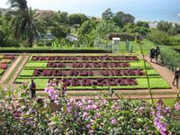 im Botanischen Garten von Funchal