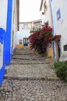 in Óbidos