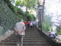 in Monte