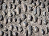 typische Pflasterart auf Madeira