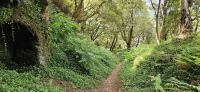 verwunschene Wanderwege auf dem Monbte Brazil