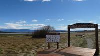 5.Tag, El Calafate, Naturschutzgebiet Lagune Nimez