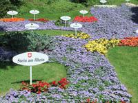 Ein blumiger Bodensee