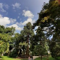 Insel Mainau